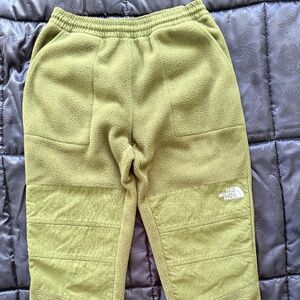 The North Face Ripstop Denali Pants